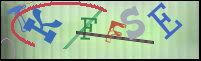 Registration Image