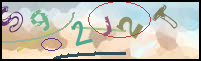 Registration Image