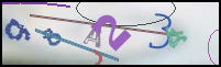 Registration Image