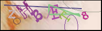 Registration Image