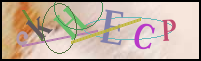 Registration Image