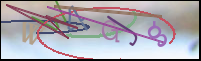 Registration Image