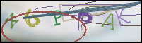 Registration Image