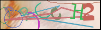 Registration Image