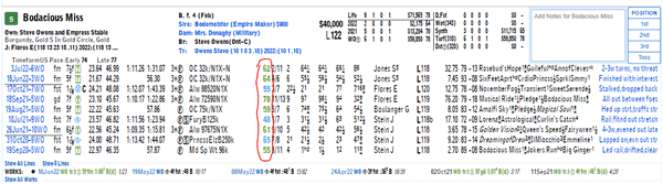 Beyer Speed Figures – How to Understand Them