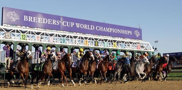breeders-cup-betting 2020 Breeders Cup Picks