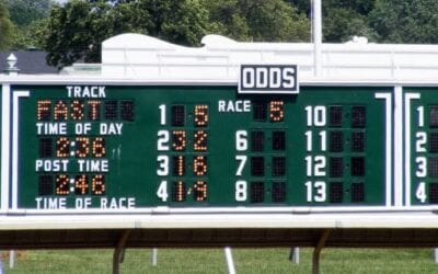 Betting Horses to Show in Horse Racing