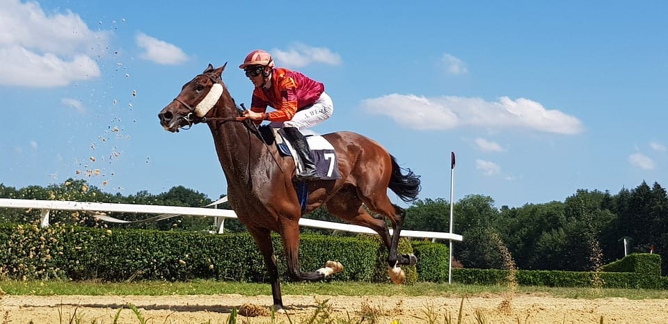 horse racing 101 horse racing 101