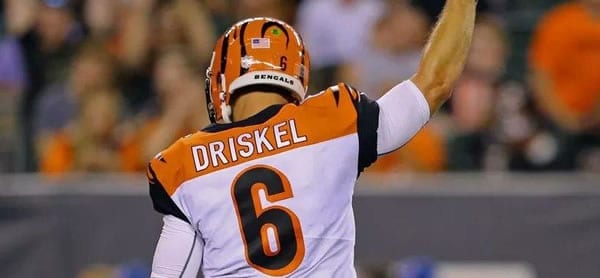 Jeff Driskel Bengals QB versus Pittsbugh Week 17