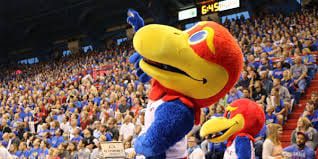 Kansas Basketball Jayhawk