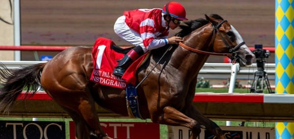 2019 Gotham Stakes Picks