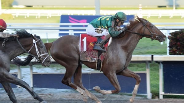 Code of Hnor Winning the Fountain of Youth Stakes