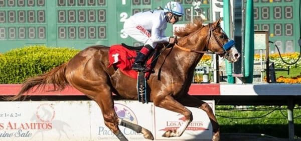 Rebel Stakes Picks – 2019 Derby Prep Race Analysis