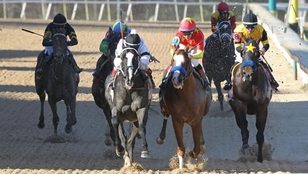 Long Range Toddy Coming Down the Stretch in the Rebel