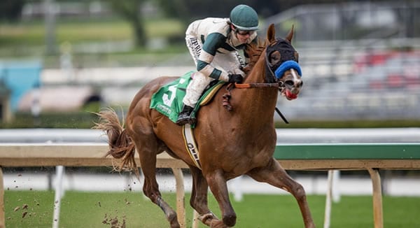 mucho-gusto-horse-600 Mucho Gusto