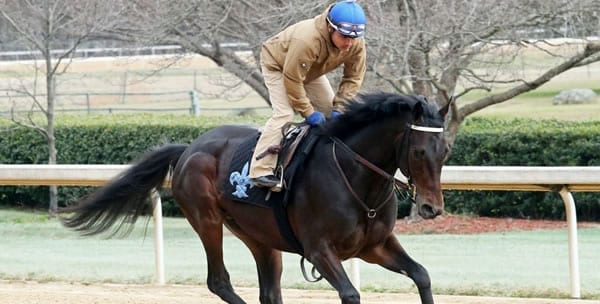 2019 Louisiana Derby Race Predictions