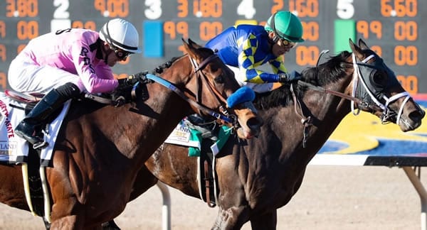 Cutting Humur winning the 2019 Sunland Park Derby