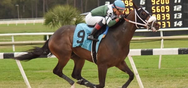 Well Defined goes in the Tampa Bay Derby