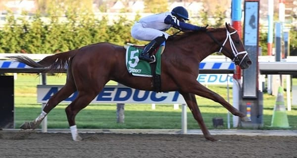 2019 Blue Grass Stakes Picks – Race Predictions