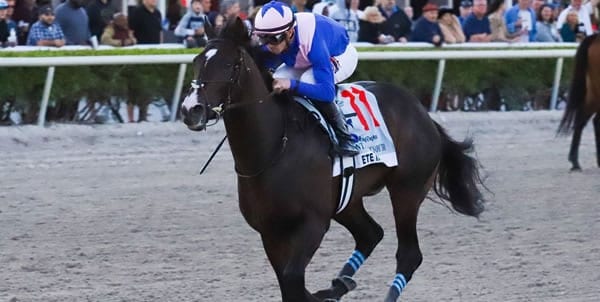ete-indian-horse Ete Indian