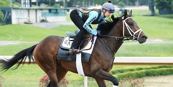 Farmington Road races in the Arkansas Derby