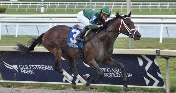 dr-post-horse Dr Post goes in the Belmont