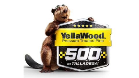yellawood 500 picks