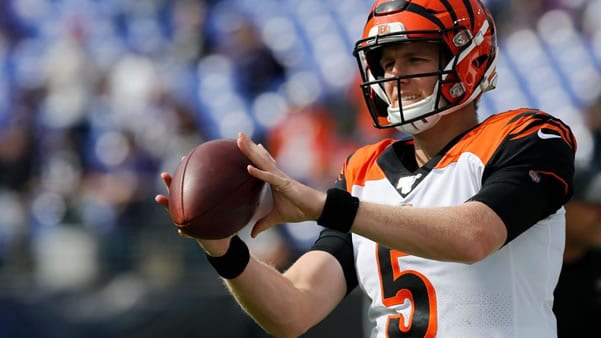 Ryan Finley QB Bengals in Week 15