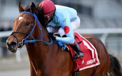 Kentucky Derby Prep Races – Withers Stakes & San Vicente Stakes Picks