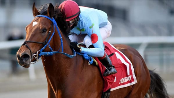 Kentucky Derby Prep Races - Withers Stakes et San Vicente Stakes Picks