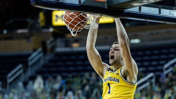 LSU Tigers  vs. Michigan Wolverines Pick