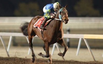 Risen Star Stakes Picks – Road to the Kentucky Derby