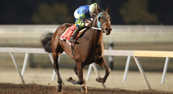 Senor Buscador Will Race in the Risen Star