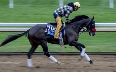 Louisiana Derby Race Analysis & Selections