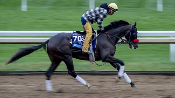 hot-rod-charlie-racehorse Hot Rod Charlie Race Horse