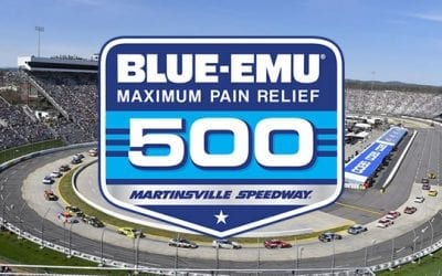 Blue-Emu Maximum Pain Relief 500 Picks