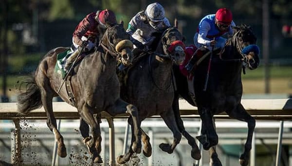 Wood Memorial wide open, Favorites solid in Santa Anita Derby, Bluegrass Stakes