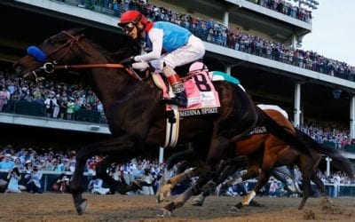 Preakness Stakes Race Analysis & Selections