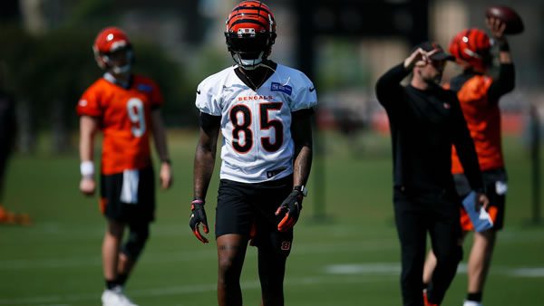 Tee Higgins Cincinnati Bengals WR