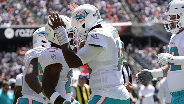 miami-dolphins-qb-jacoby-brissett-lrg Jacoby Brissett Dolphins QB