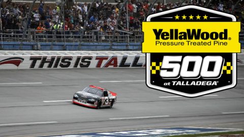 yellawood 500 picks