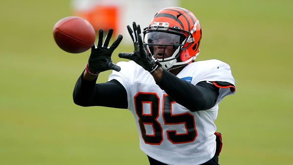 Tee Higgins Bengals WR