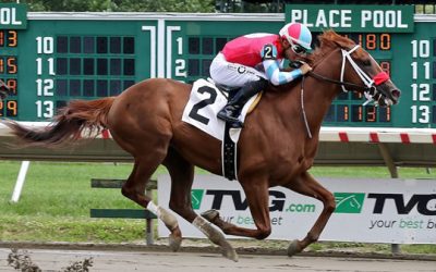 Fountain of Youth Stakes Predictions & Bets