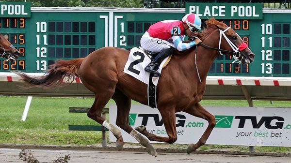 Fountain of Youth Stakes Predictions & Bets