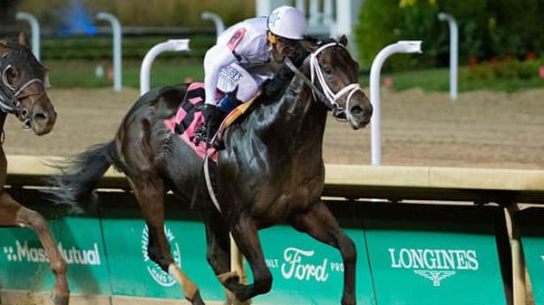 Tampa Bay Derby Race Analysis & Picks