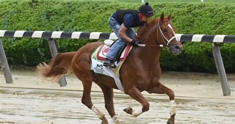 Rich Strike Looks to take the money in the Belmont