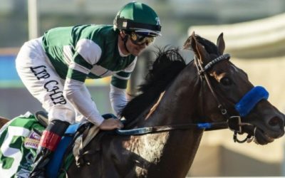 Breeders’ Cup Picks and Longshots 11/5/22