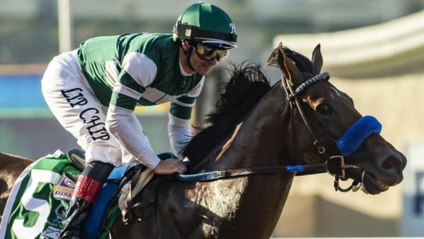 Breeders’ Cup Picks and Longshots 11/5/22