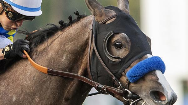 Saturday’s Race Card Features the Grade 2 Rebel Stakes at Oaklawn Park