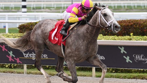 The Grade 3 Tampa Bay Derby at Tampa Bay Downs